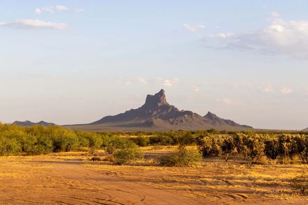 Picacho Peak mountain desert landscape.