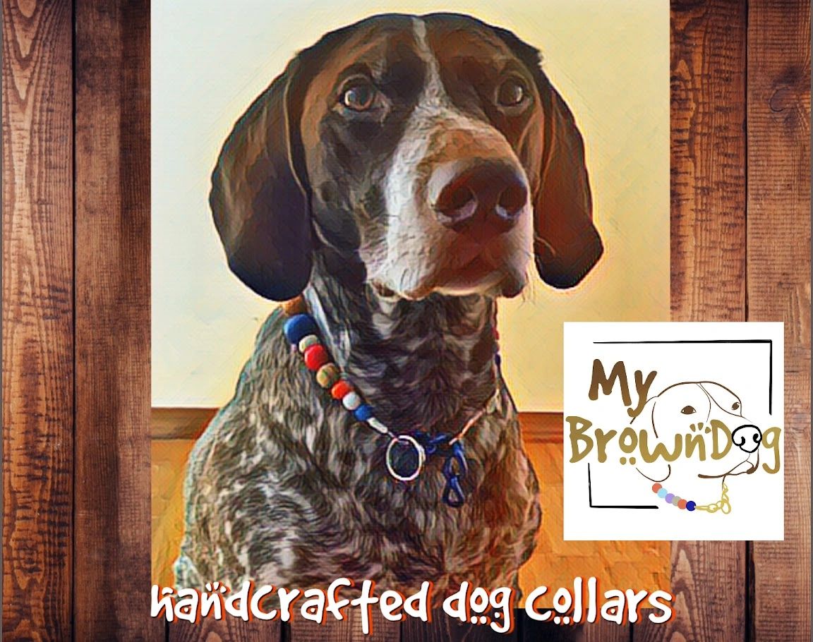 A dog wearing a colorful handcrafted collar with My Brown Dog logo.