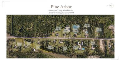 Aerial view of Pine Arbor residential area with houses and surrounding greenery.