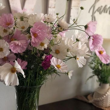 A bouquet of white and pink cosmos flowers in a glass vase with a decorative home setting behind.