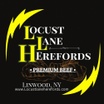 Locust Lane Herefords