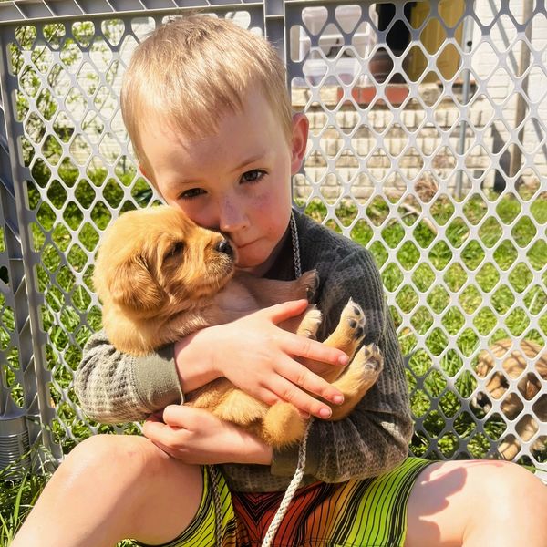little boy cuddles golden retriever puppy on the grass