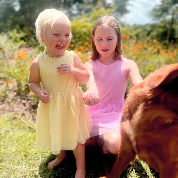 little girl wearing yellow dress smiles at golden retriever. older girl in pink dress holding treat