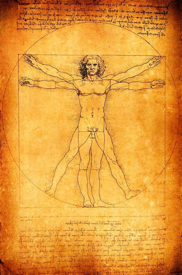 Leonardo da Vinci's Vitruvian Man drawing.