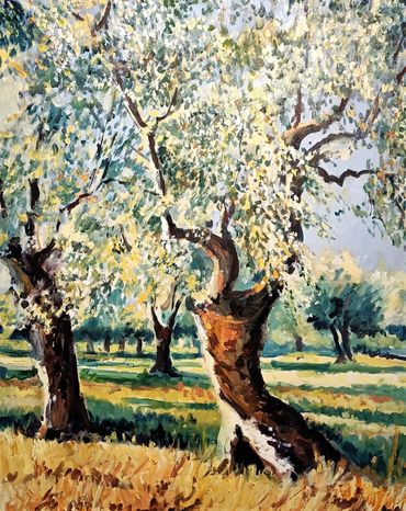 Olive tree, Montisi. Oil painting 