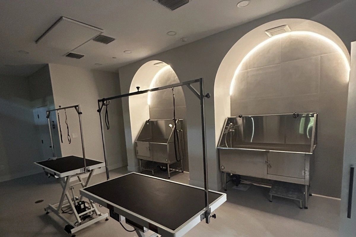 Calm, cage-free bathing alcoves inside Paraiso Pet Spa, a pet spa and wellness sanctuary in Edgewate