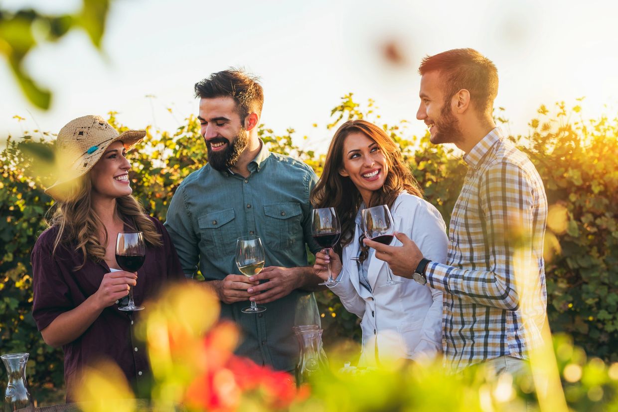 Guests drinking wine