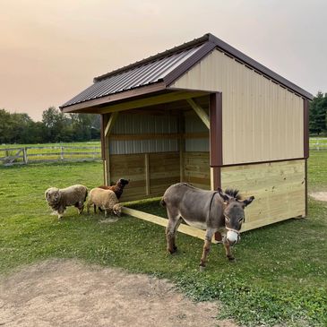 Dual pitch animal shelter with 3' overhang