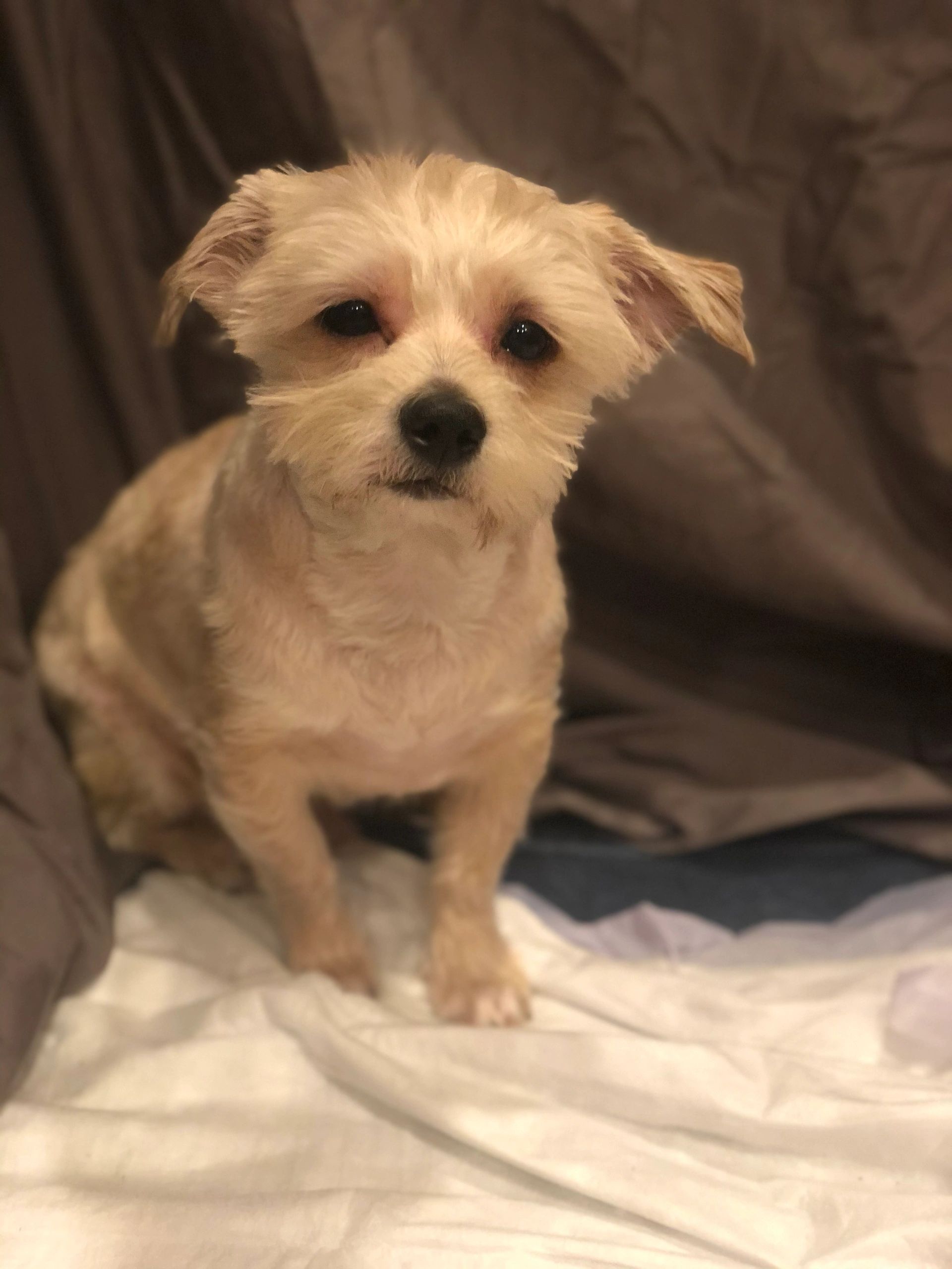 House Of Second Chances Animal Rescue House Of Second Chances Animal