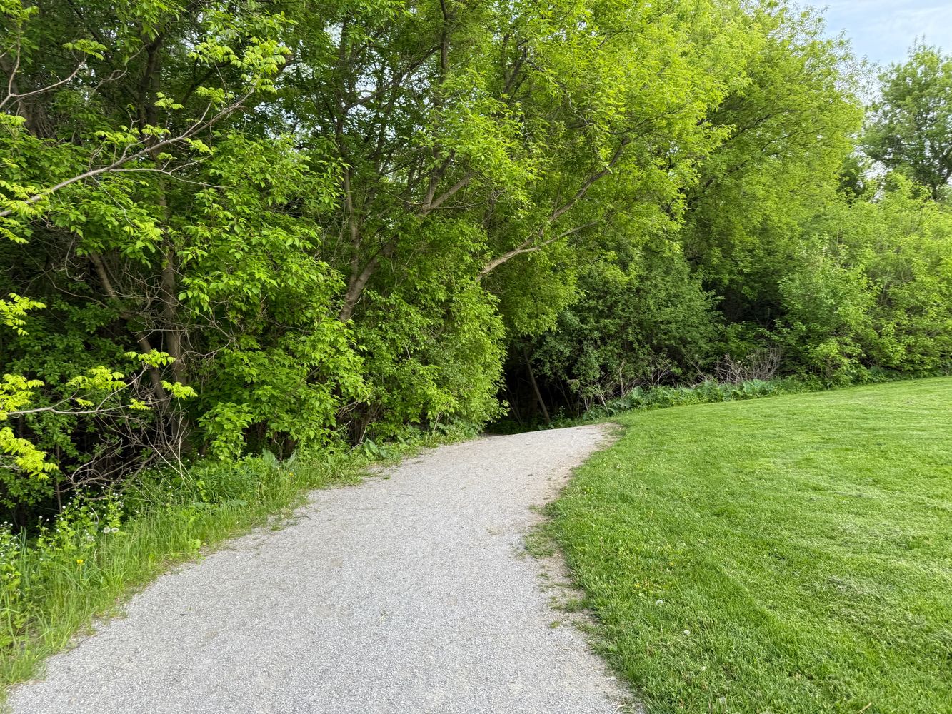 NewRoads Psychotherapy Centre