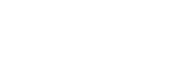 Congaree Creative Co.