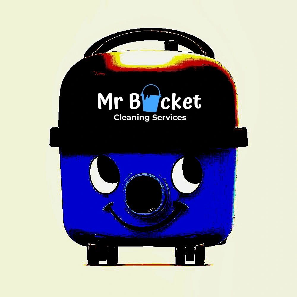 Mr Bucket