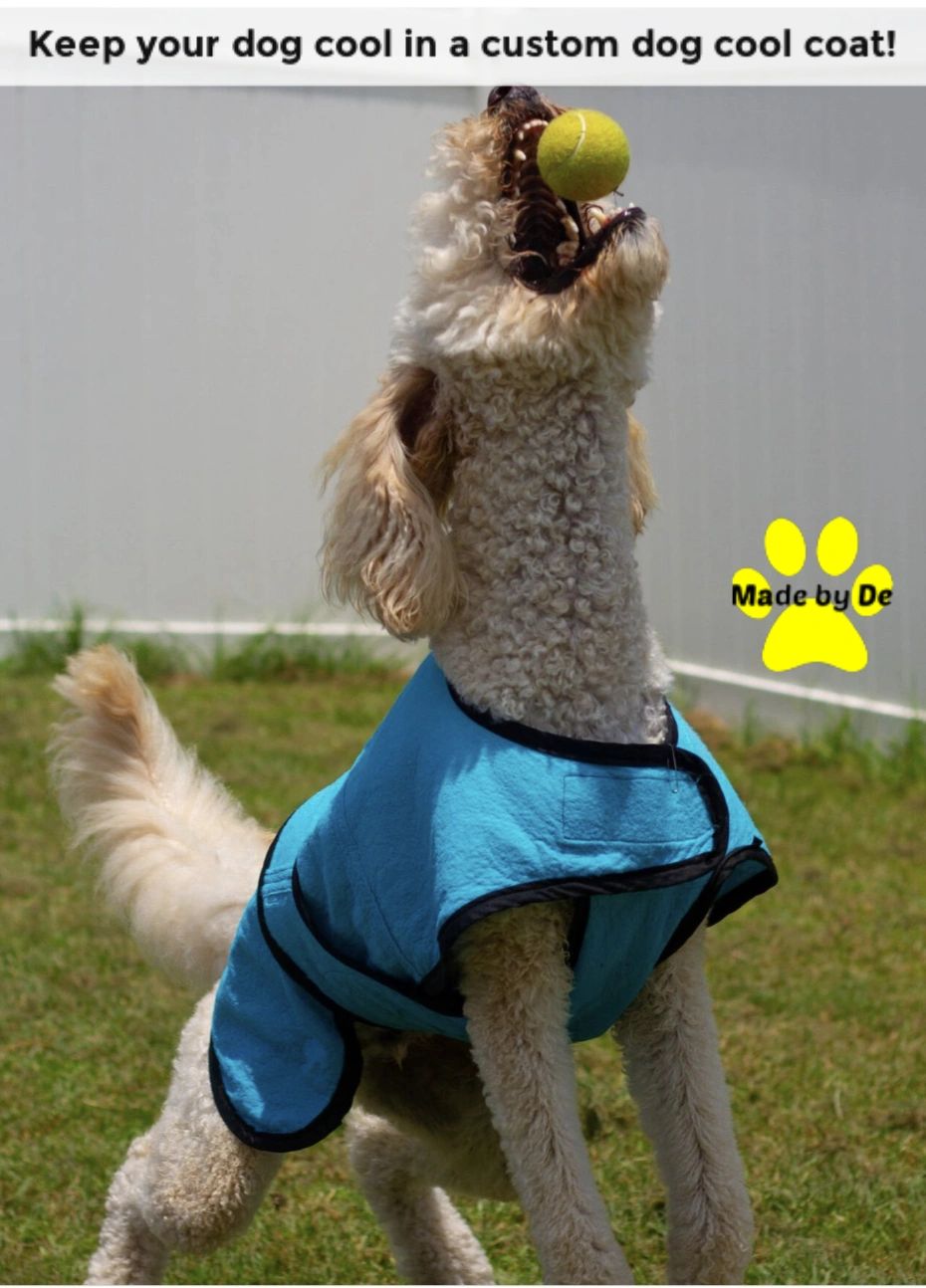 custom dog cool coat