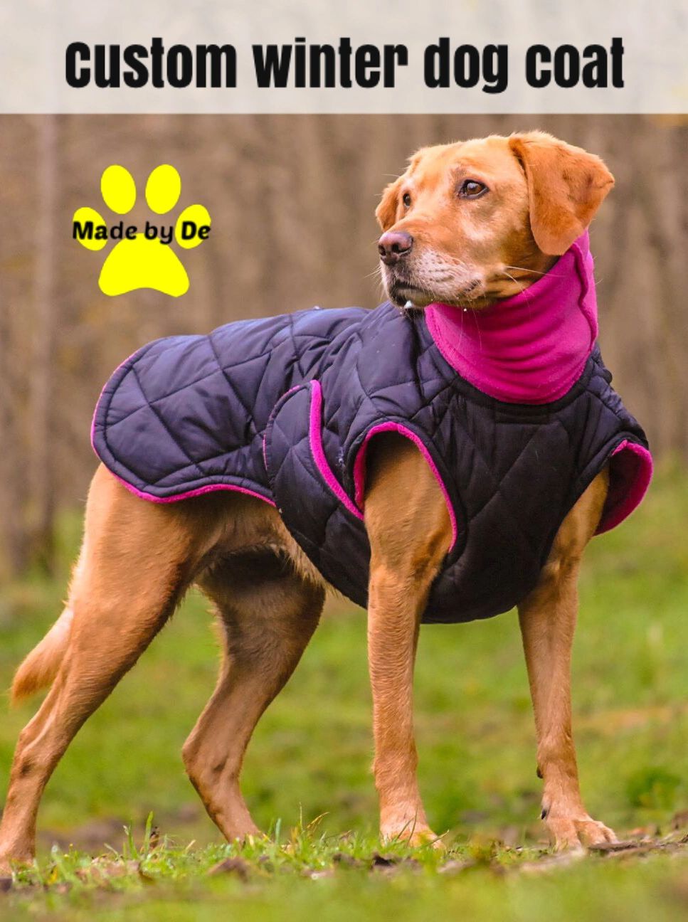 Custom dog clothing works for your dog while letting them BE a dog.