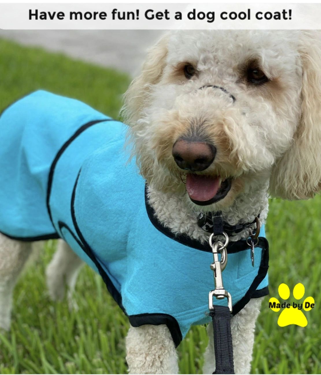 If your dog needs a cool coat, you want one that is effective at keeping them cool and comfortable.