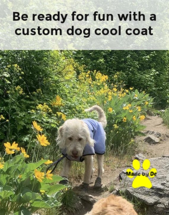 You want a dog cool coat that holds up and is effective at keeping for your dog cool.