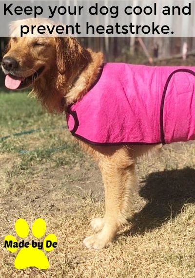 Since chamois dog coats are absorbent, they work to help dry your dog after a bath too.
