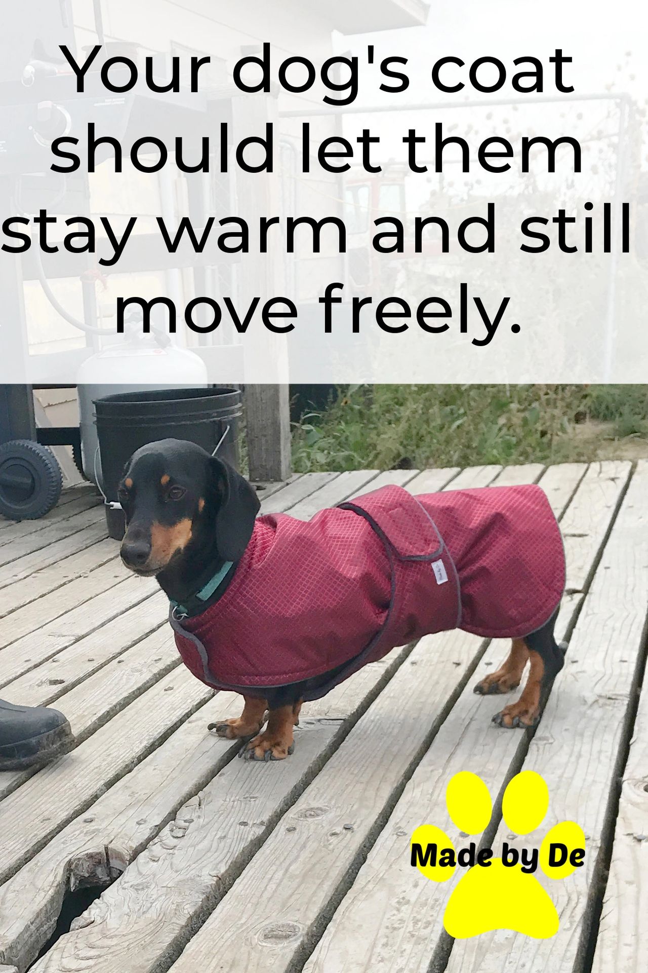 Dogs of all sizes and builds can benefit from a coat under the right conditions.  Would your dog like or learn to accept a coat?