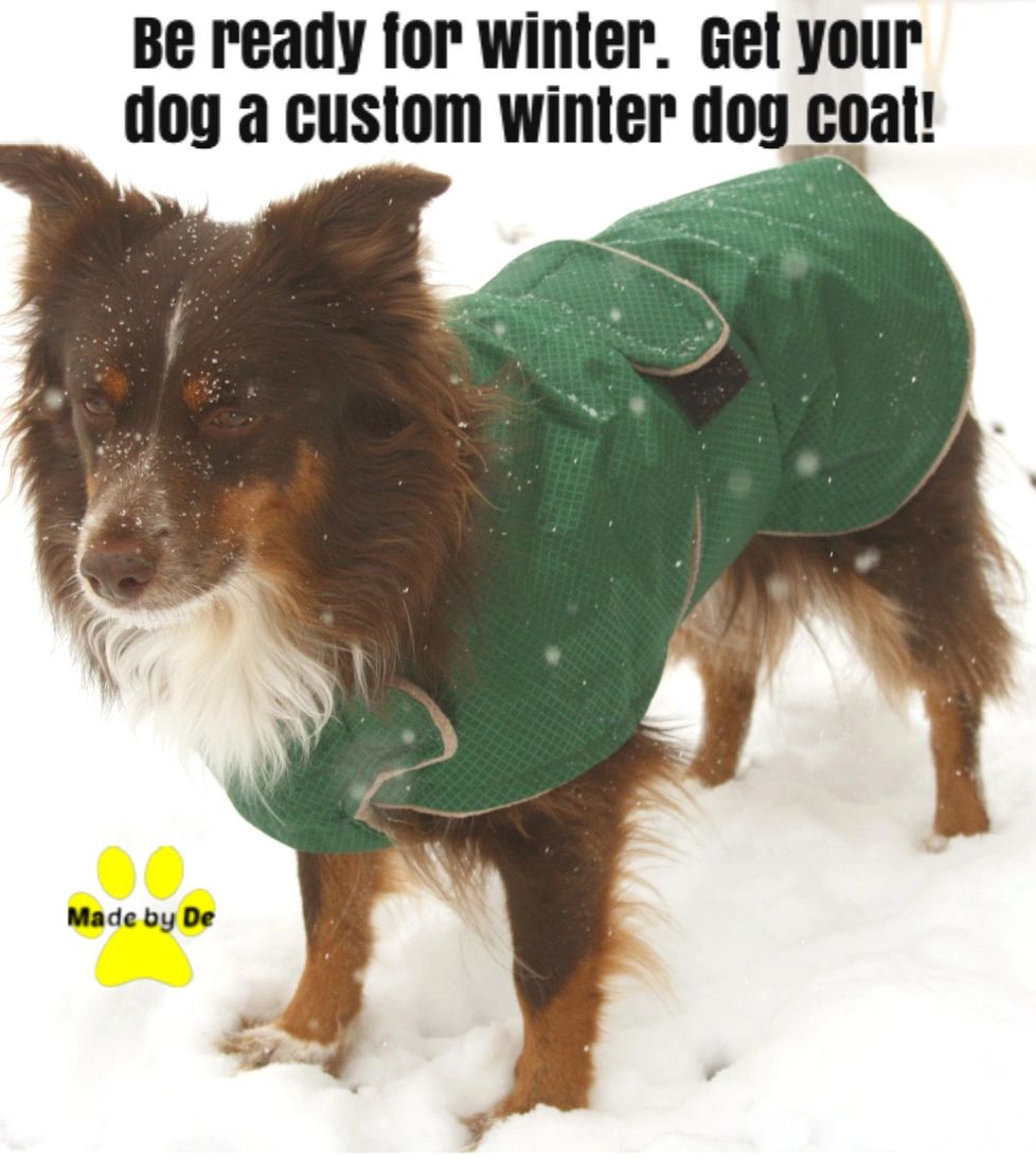A custom dog coat can make the perfect gift for your dog or any other dog.  A custom coat can be the perfect combination of fit and function.