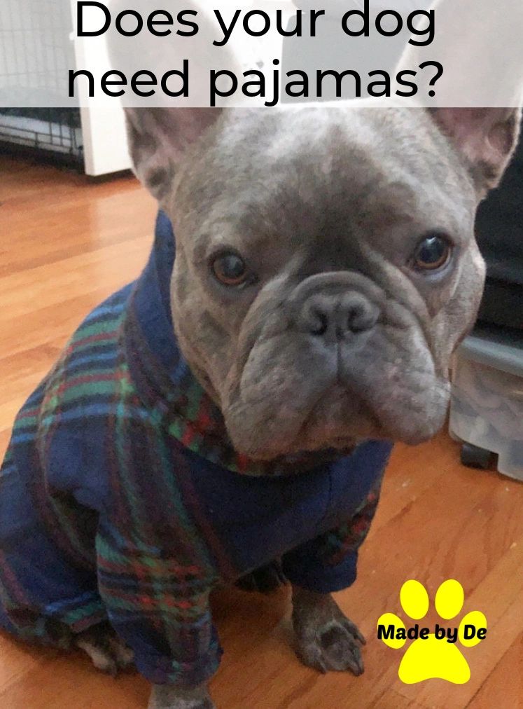 How do you know if your dog needs pajamas?  