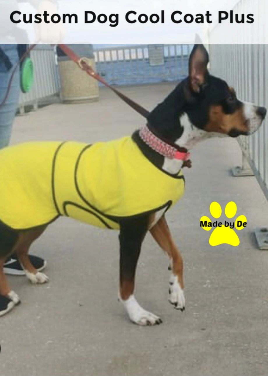 If your dog needs a cool coat, how do you know which one is best?