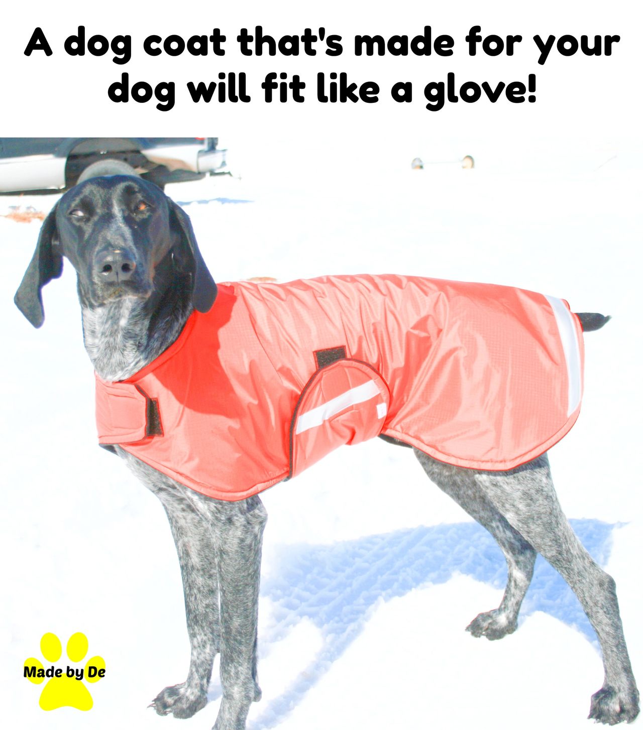 Keep your dog warm with a coat that fits. Just provide measurements to get the perfect coat.