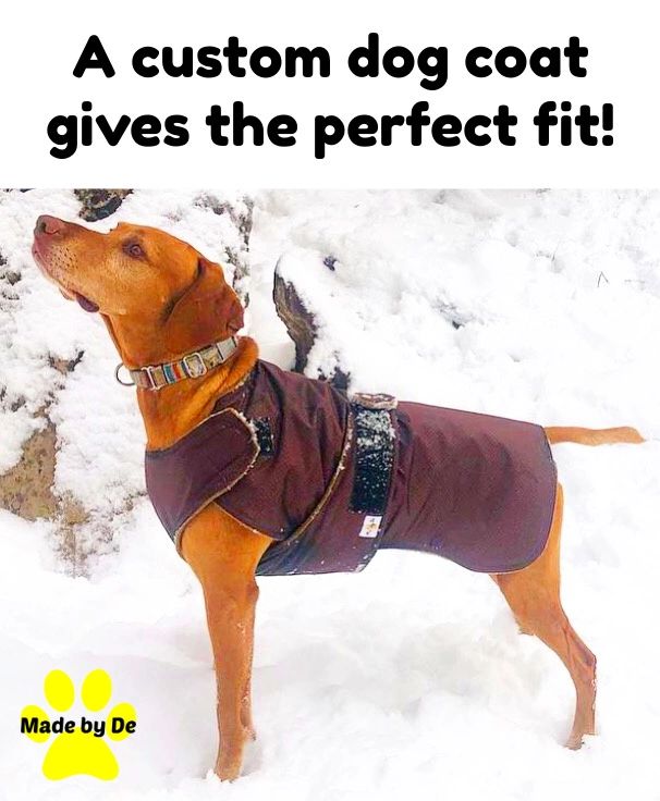 Your dog will be able to move easier if they are wearing a coat that fits, especially one that's made for them.