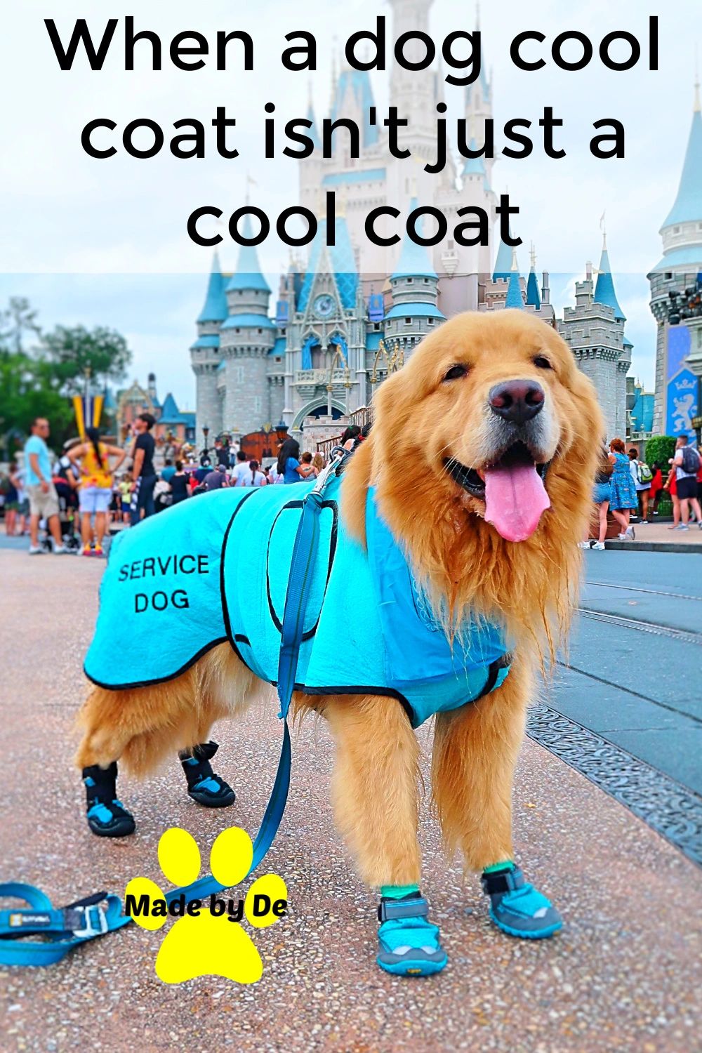 A Made by De dog cool coat isn't just for cooling your dog.  It can do so much more!