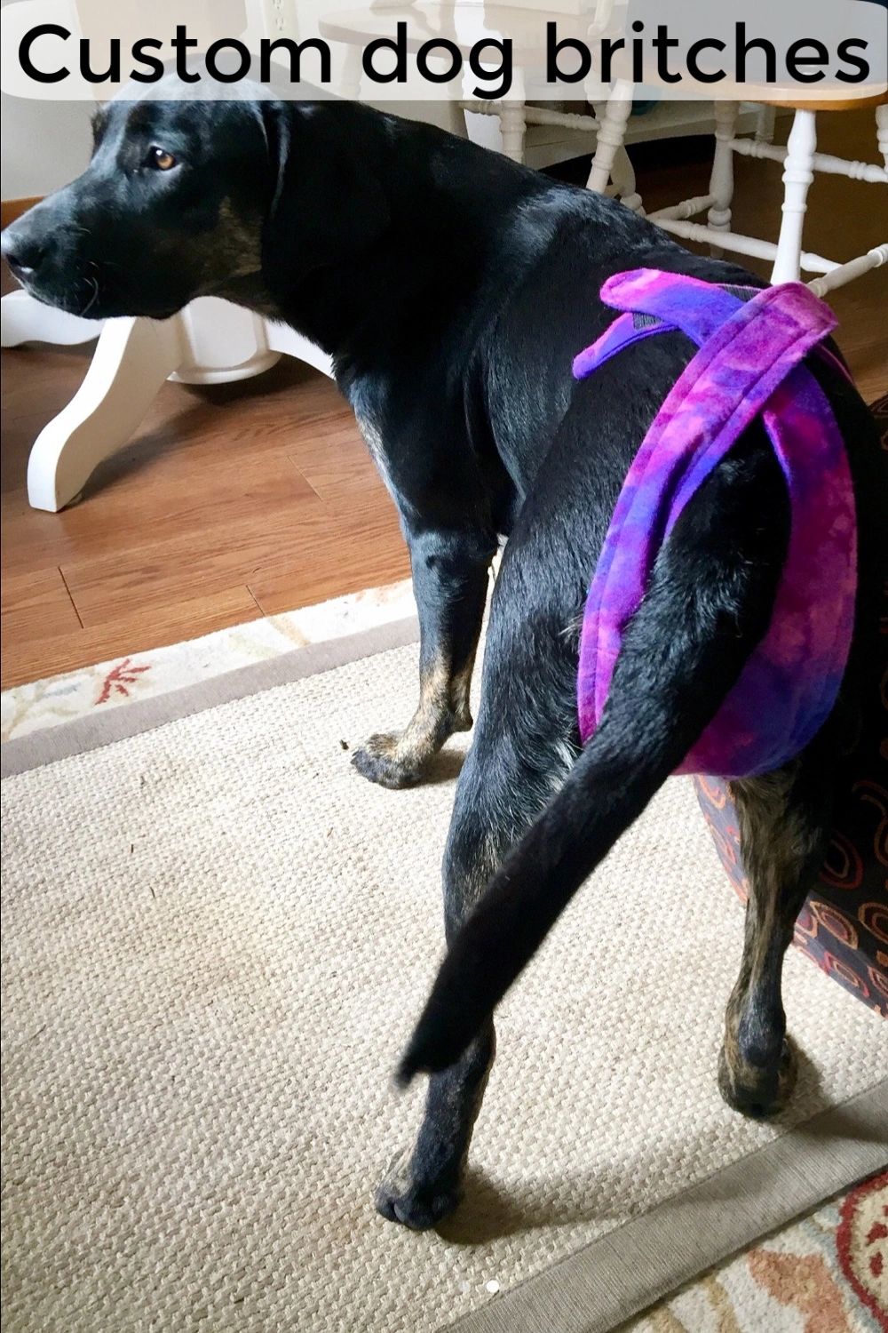 If your dog needs clothing, they'll be much more comfortable if it fits!