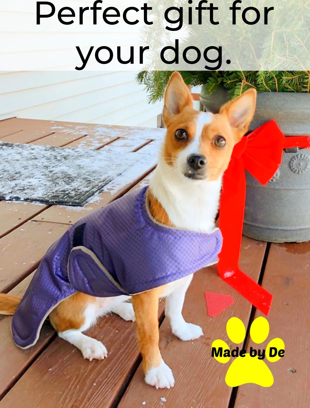 You can give all kinds of things as gifts to your dog.  But doesn't it feel better to give something that will last for at least a while?