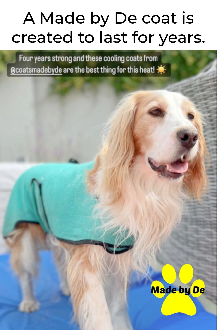 How many bargain coats would you have to buy to get the same amount of use as this one well-made dog coat?