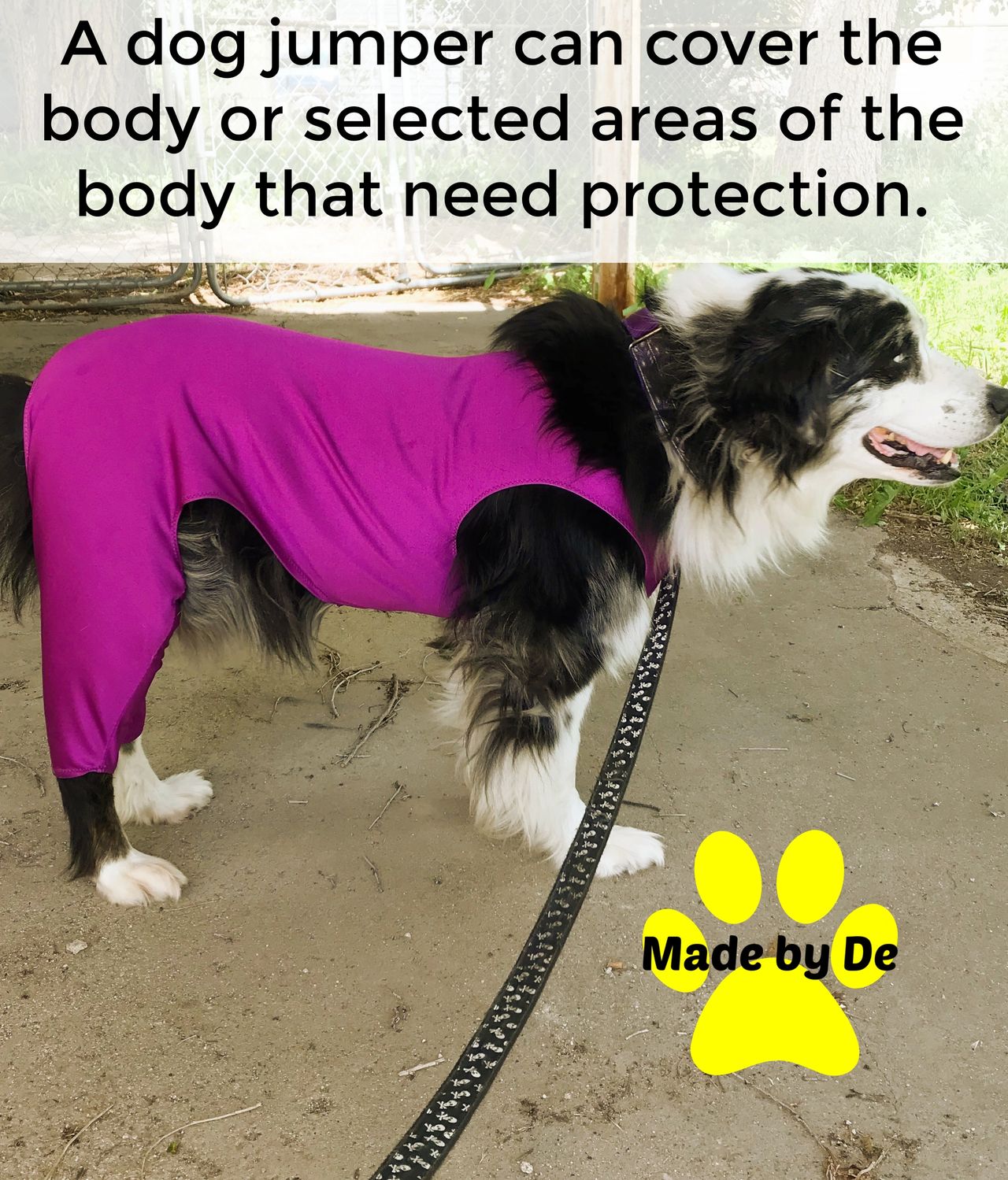 A dog jumper like this one can protect specific areas of your dog.  