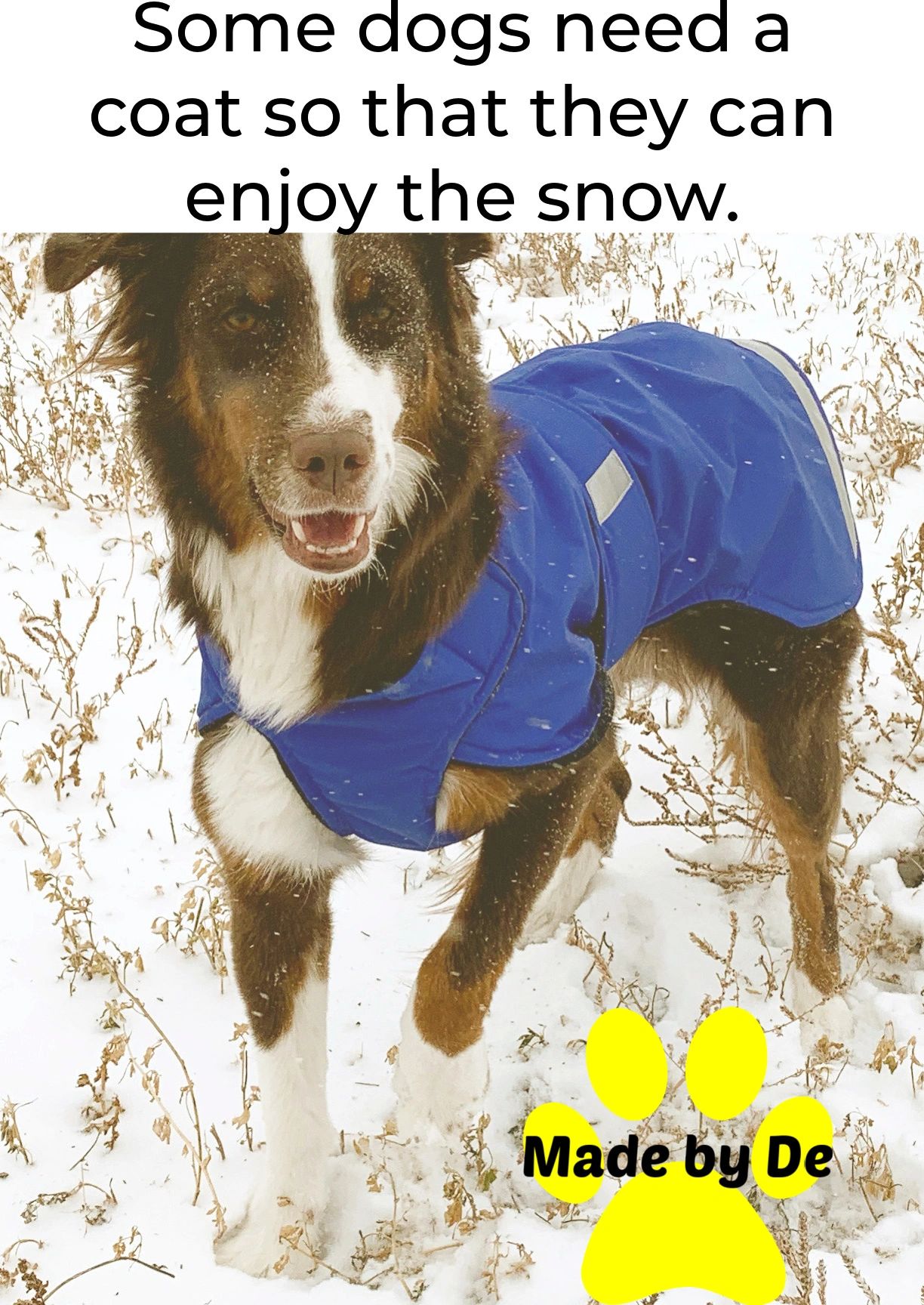 Some dogs get cold in cold weather.  If your dog is one of them, a coat can help them enjoy the weather in comfort.