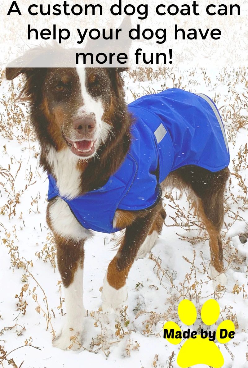 A coat that has an outer shell that blocks wind or moisture will help your dog stay warmer.