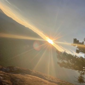 Sun setting behind a mountain with tree branches in view.