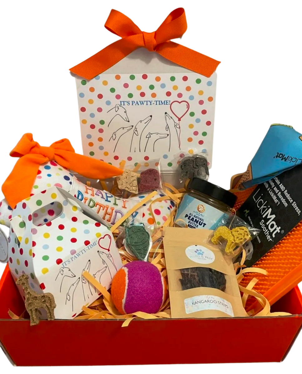 Happy Birthday Box + Happy Birthday Dog Bone Toy