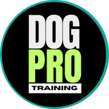 dogprotraining.com