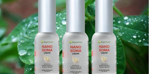 Strengthen Your Immune System
