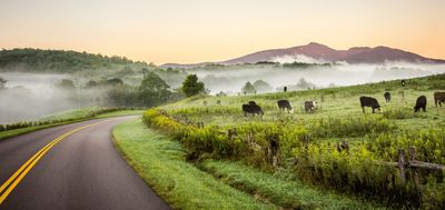 southern highlands moss vale