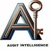 Audit Intelligence