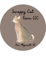 Scrappy Cat