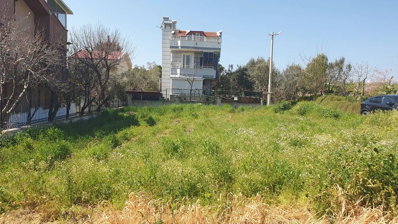 gül6-2a4588f.jpg