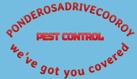 Ponderosa Drive Cooroy Pest Control 