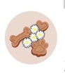 Daisy Chain Dog Walking & Pet Care