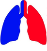 PULMONARY CONSULTANTS P.C