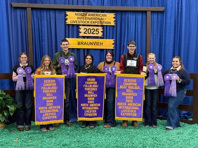 Naile 2025 J Bar Braunvieh