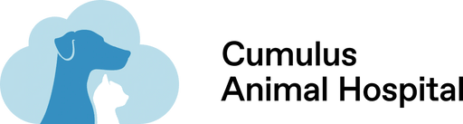 Cumulus Animal Hospital