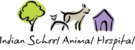 Indian School Animal Hospital