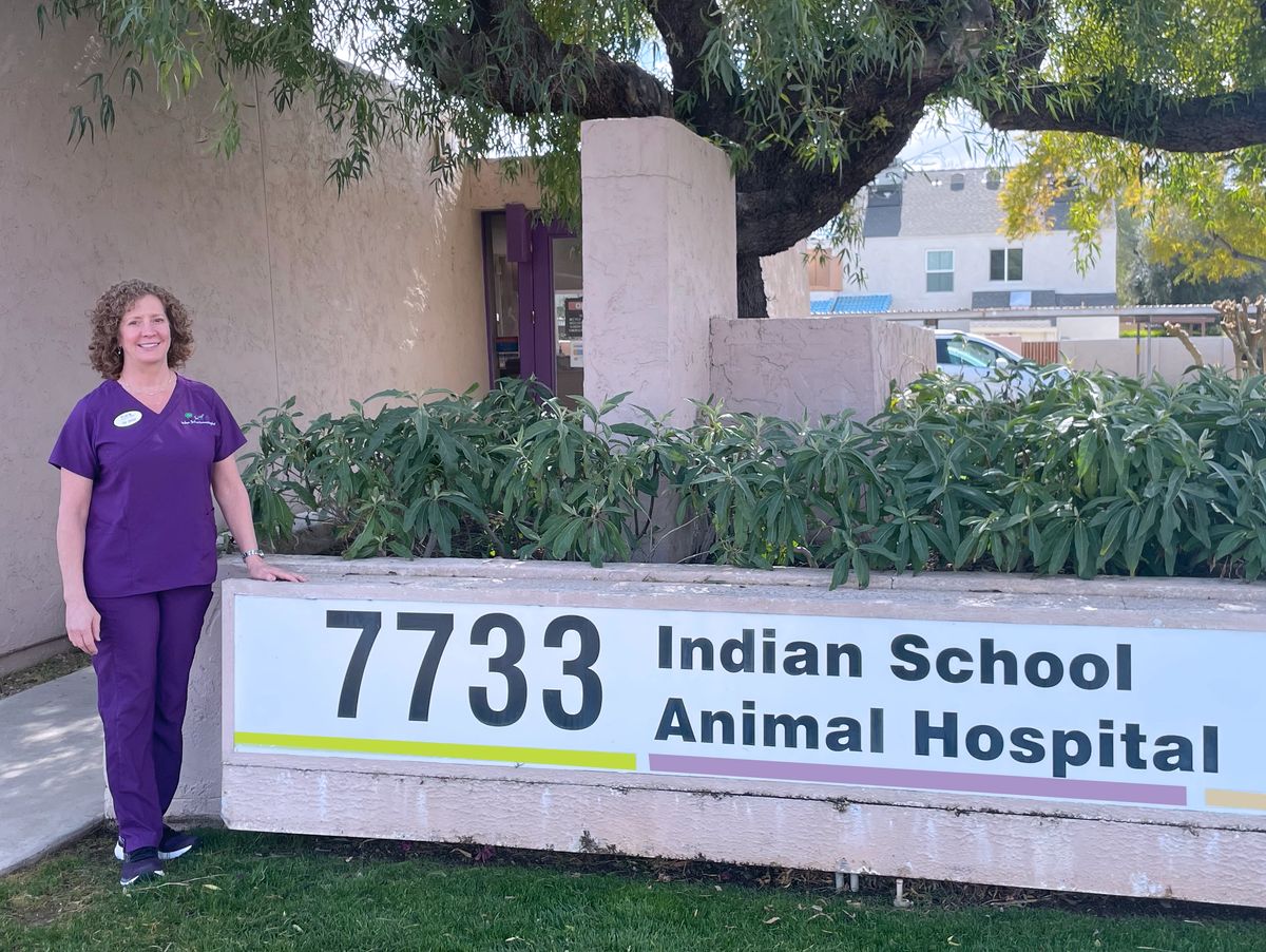 Indian School Animal Hospital