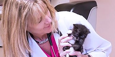 Veterinary behavior services